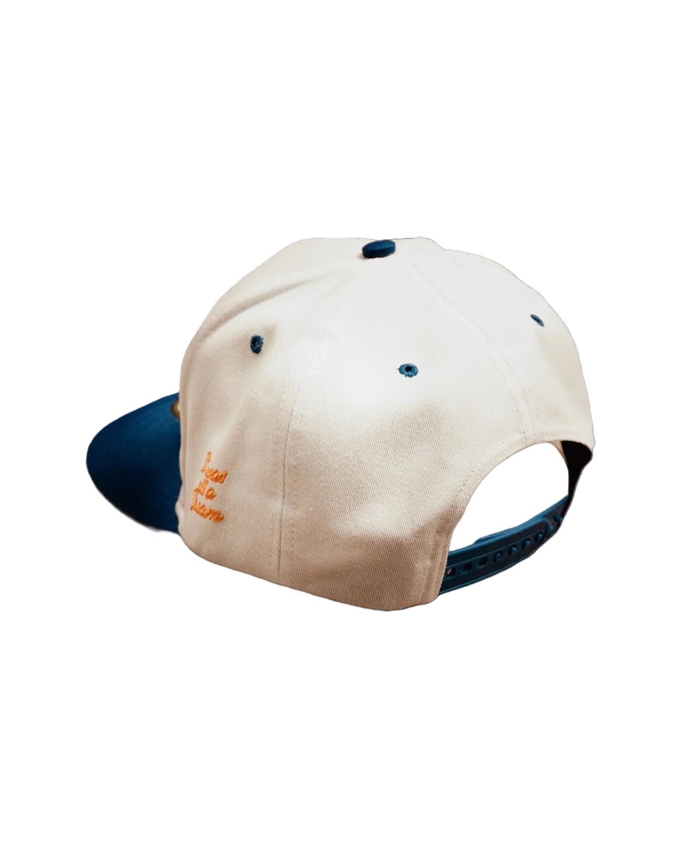 SNAPBACK DREAM